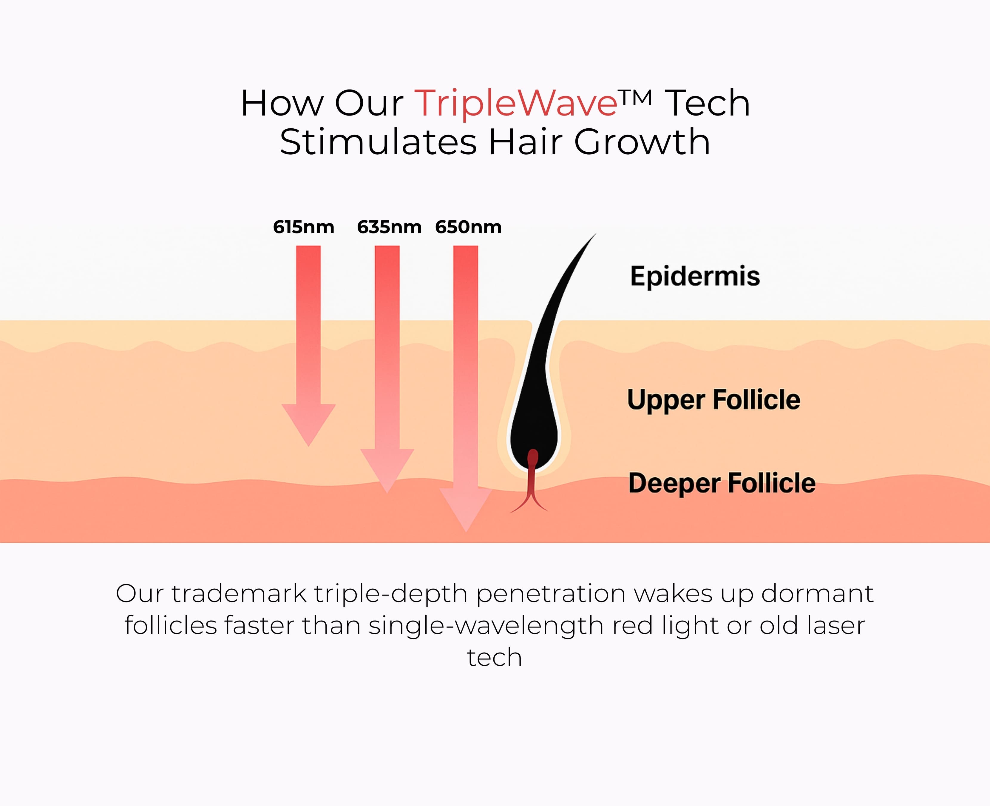 Diagram of hair follicles and light wavelengths, explaining TripleWave Tech for hair growth.